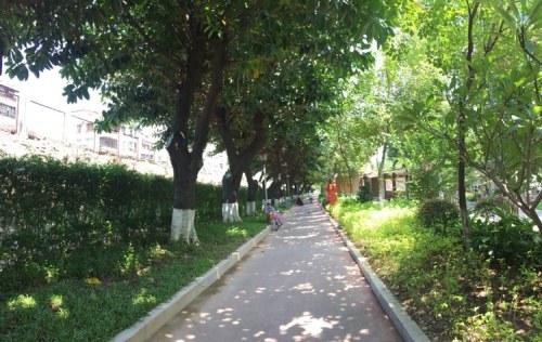三水文化公园旅行图片 1