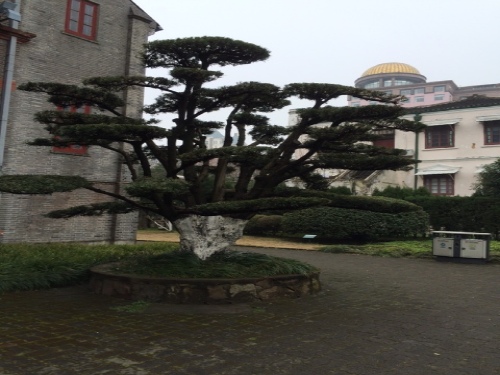 人民公园旅行图片 2