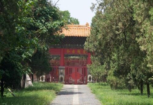 曲阜明故城旅行图片 3