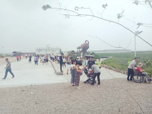 草原神画旅行图片 1
