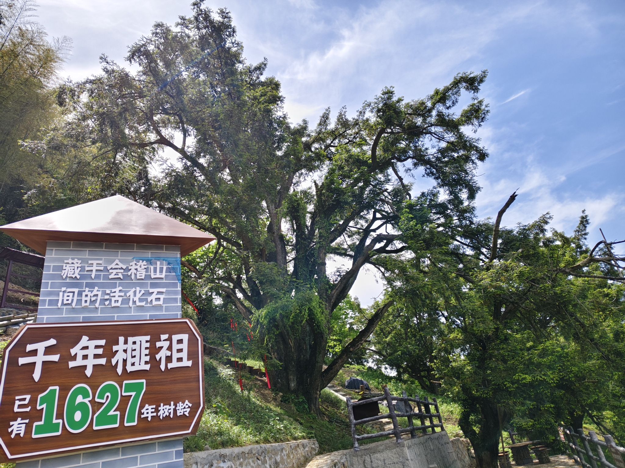 香榧森林公园