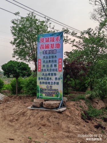 定州市晟禾苗圃基地
