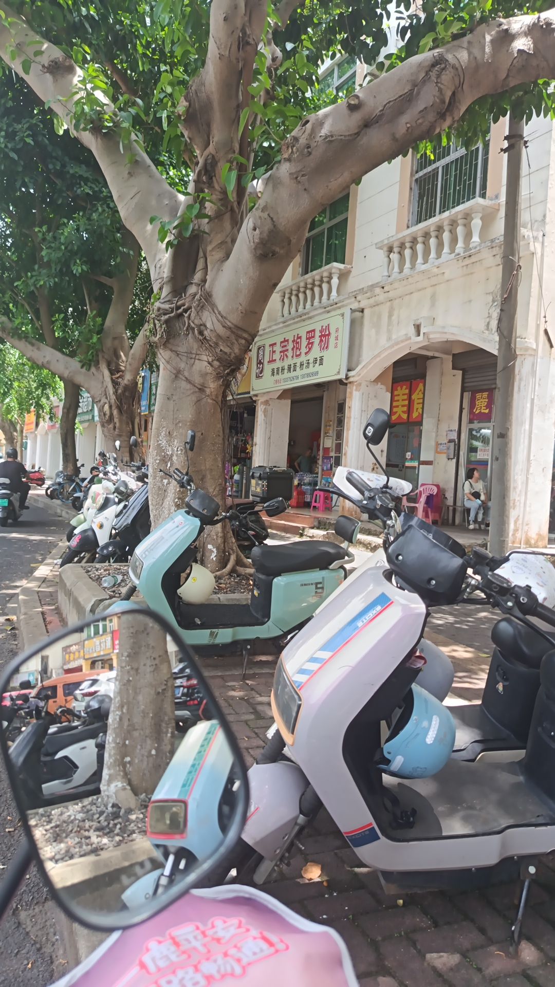 周记正宗抱罗粉