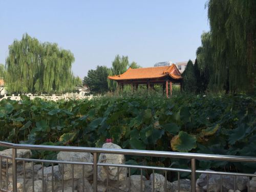 憩园旅行图片 1