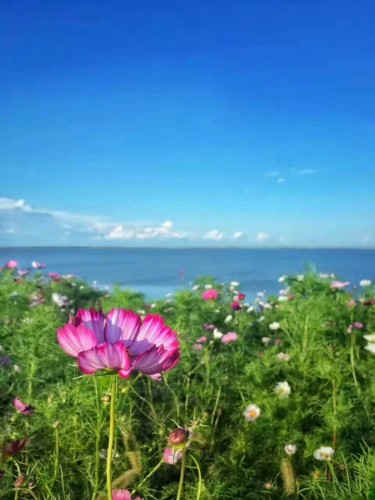 阿木塔旅游度假区(暂停开放)旅行图片 3