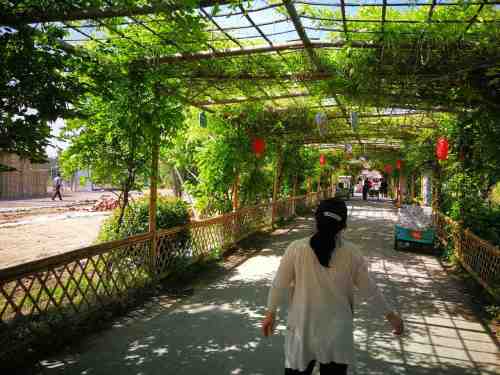 豫东大竹海文旅生态村旅行图片 3