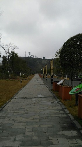 泸县九曲河公园旅行图片 3