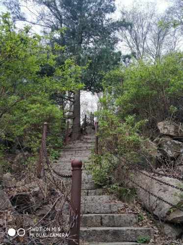 铧子山地质森林公园旅行图片 3