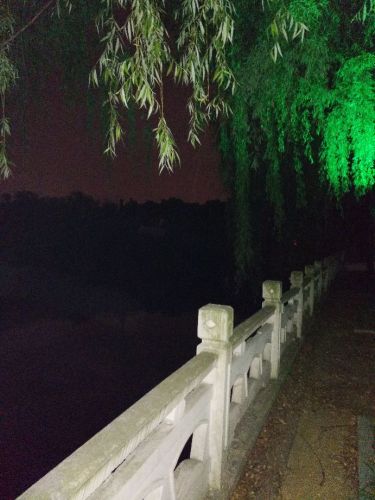 峰园公园旅行图片 3