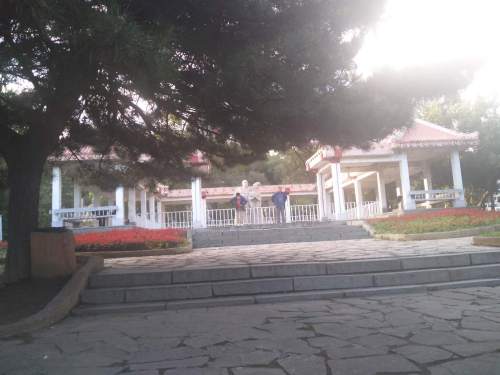 龙园旅行图片 3