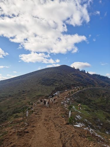 采凉山风景名胜区