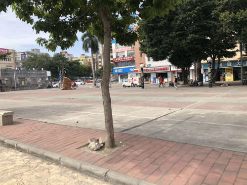 火龙公园旅行图片 2