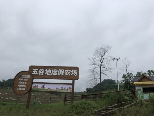 五谷地旅游度假区旅行图片 1