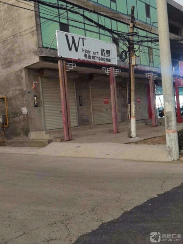 WT造型