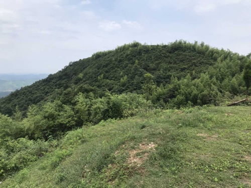 五峰仙庵子旅行图片 1