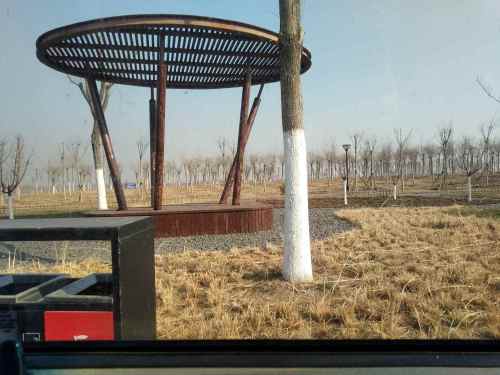绿屏·辛庄湾瞭望塔旅行图片 2