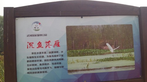武河湿地公园旅行图片 3