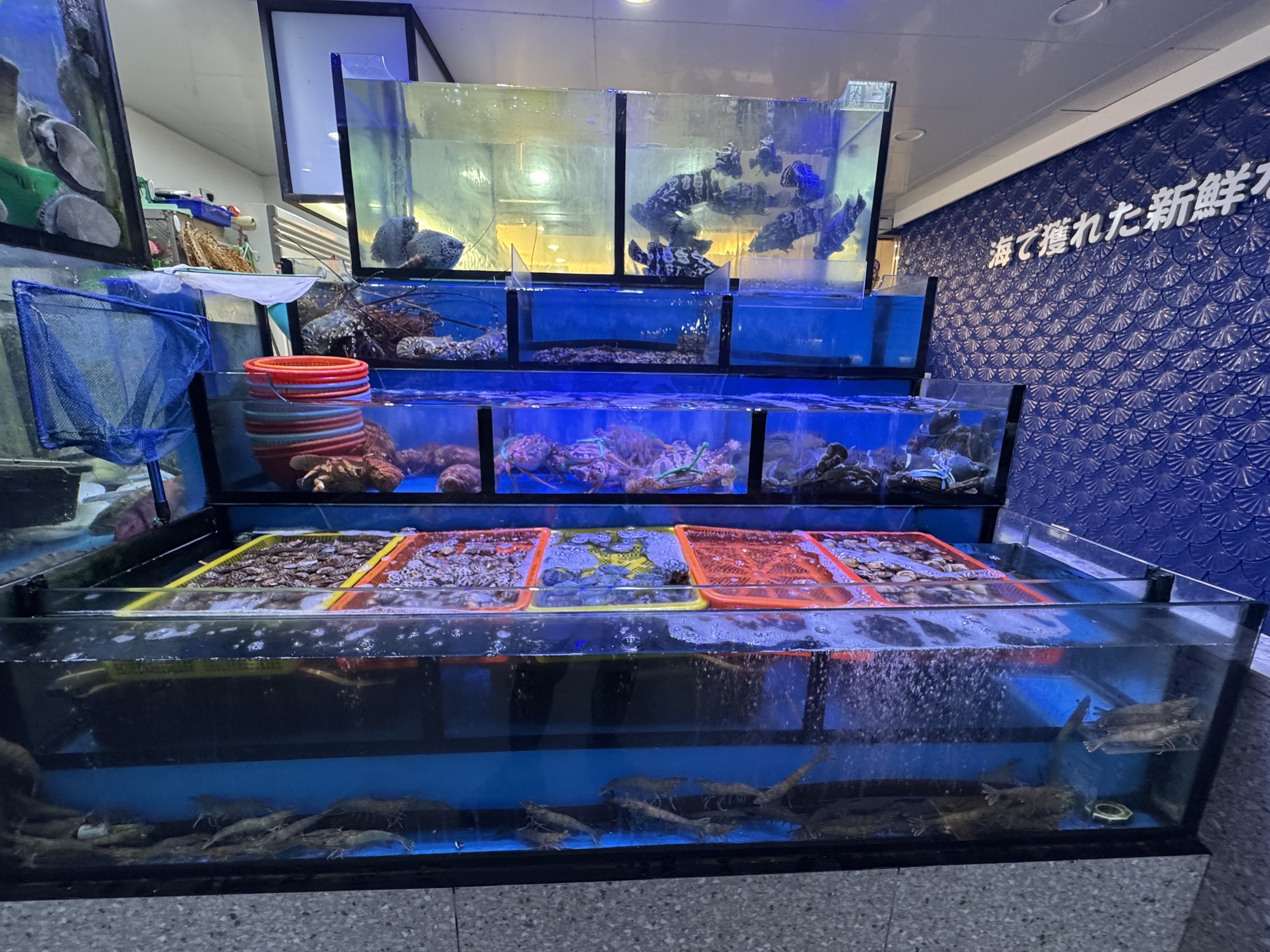 海世界活海鲜餐厅