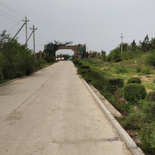扎赉特旗森林公园旅行图片 1