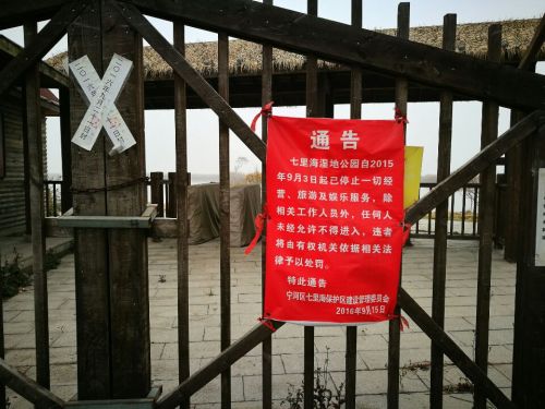 七里海-东海鸟岛景区(不对外开放)旅行图片 2
