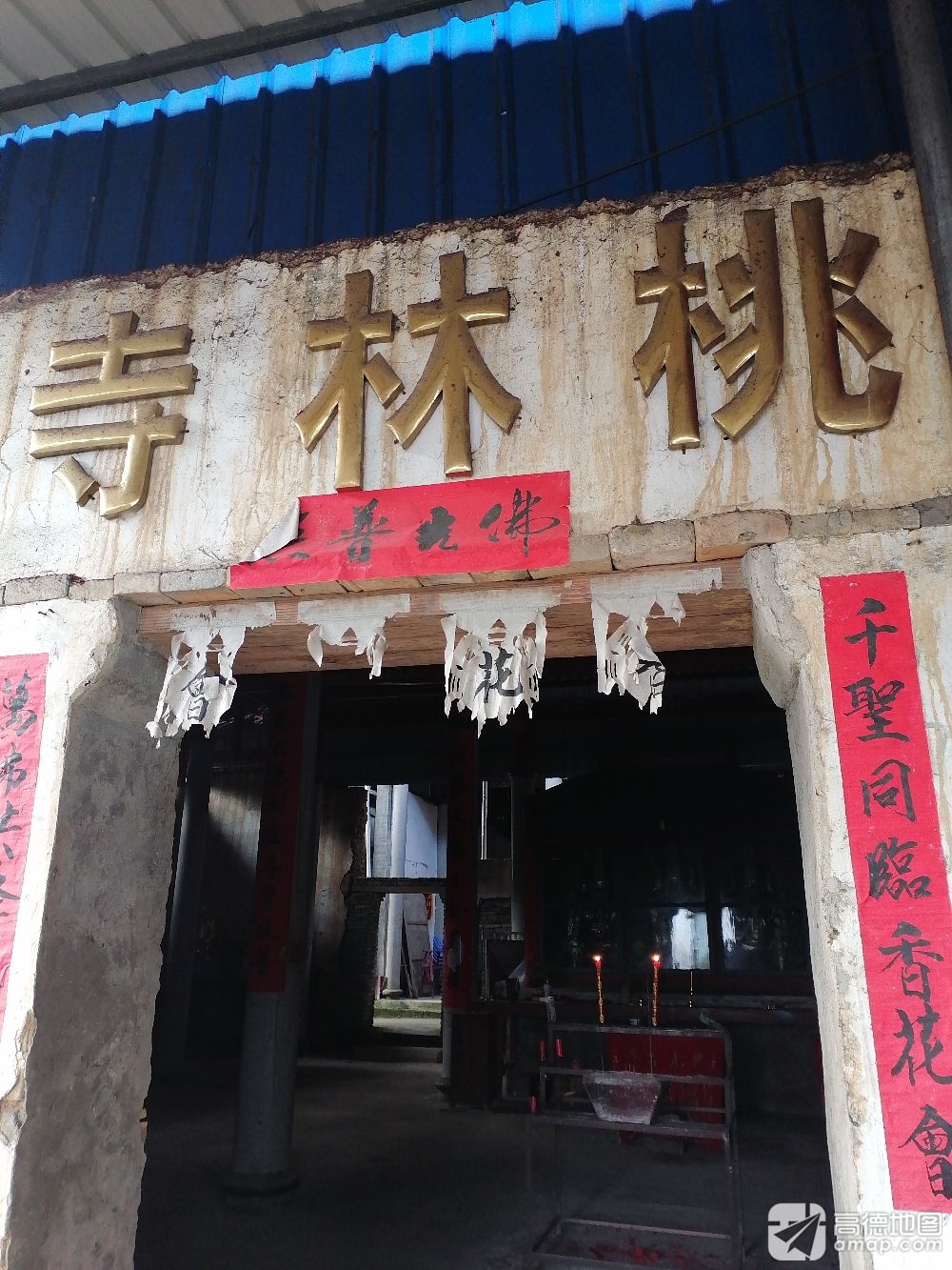 南树桃林寺实景照片