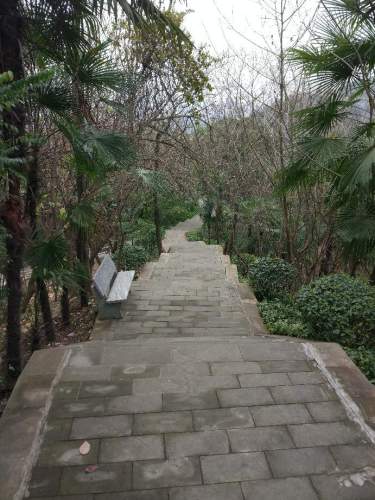 龙井公园旅行图片 2