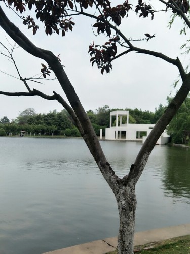 沱河风景带旅行图片 2
