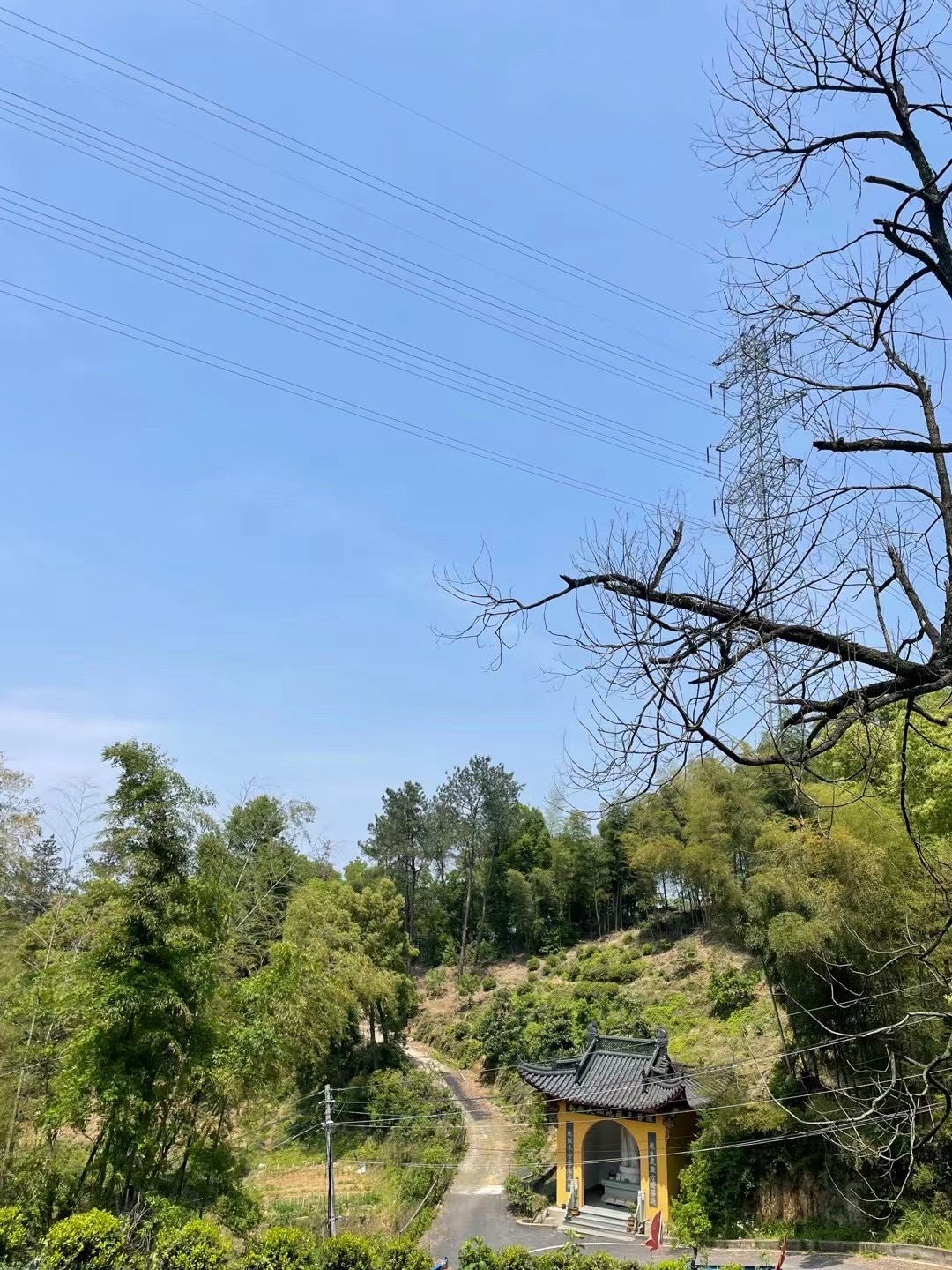 回龙寺实景照片