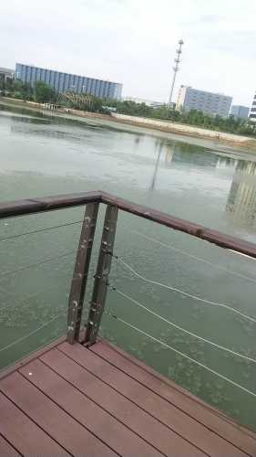 琼花湖公园旅行图片 2