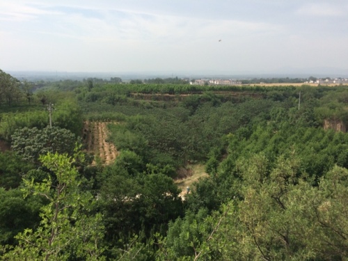 吕布点将台旅行图片 2