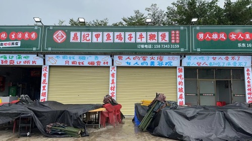 鼎纪甲鱼鸡子牛鞭煲(乐东店)