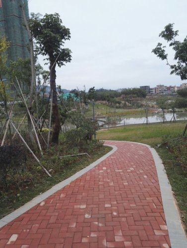 禹洲湿地公园旅行图片 1