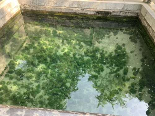 珍珠泉旅行图片 2
