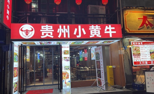 贵州小黄牛