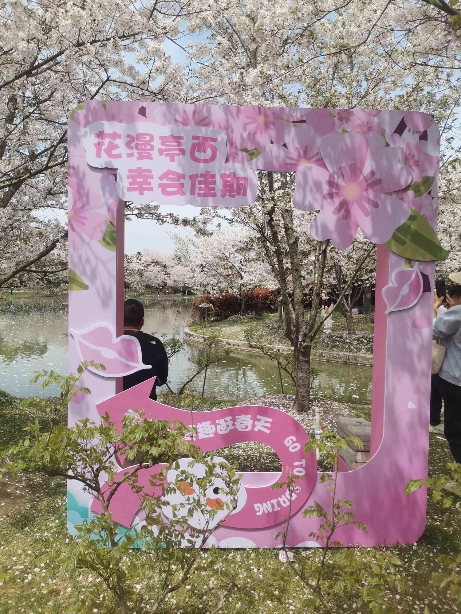 亭西村樱花主题公园