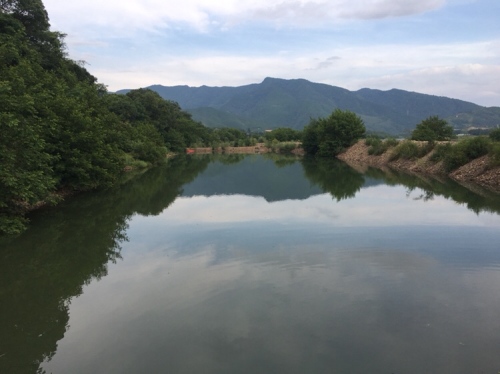 蒋家洲生态湿地风景区旅行图片 2