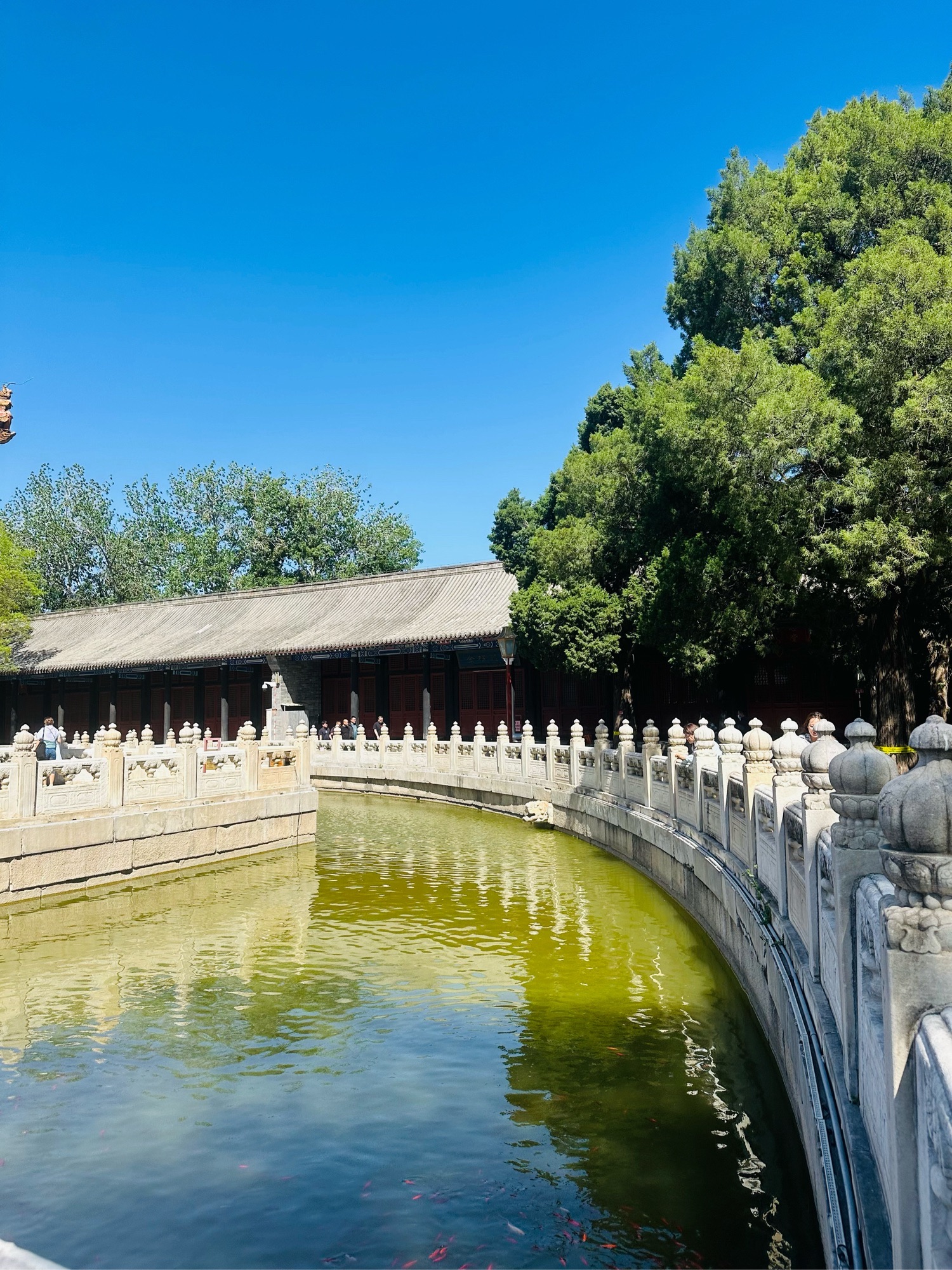 水柳宫实景照片
