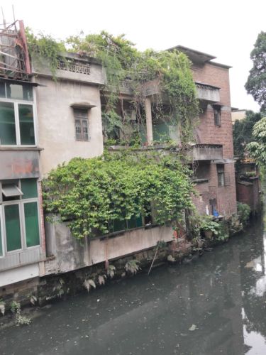 横江公园旅行图片 1
