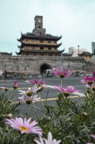 天一阁月湖 景点照片