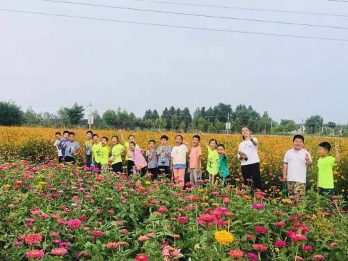 山后韭菜生态休闲农业园旅行图片 1