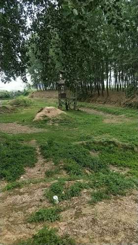 三省井旅行图片 1