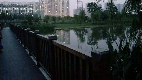 南星渎郊野公园旅行图片 1