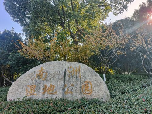 南洲湿地公园