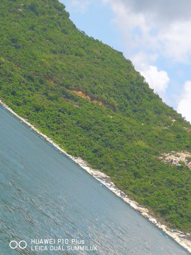 大甲岛旅行图片 3