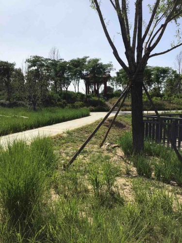 运河文化公园旅行图片 1