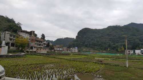 高坡苗寨旅行图片 1