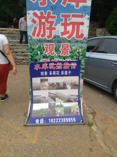 元古奇石林风景区旅行图片 2