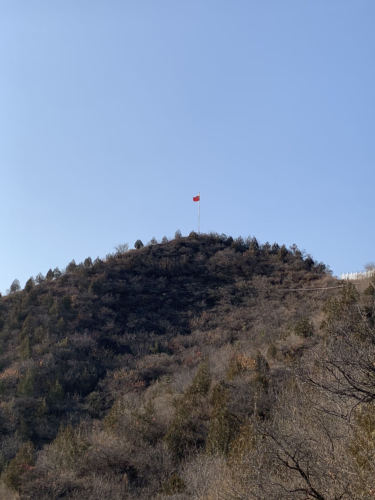 西达摩自然风景区旅行图片 1