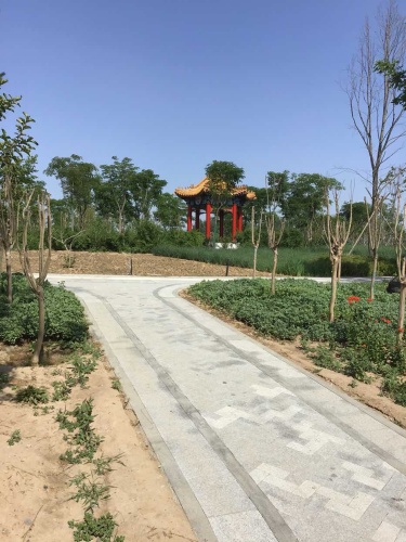 运河文化公园旅行图片 3