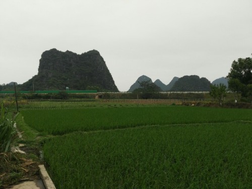 茅坡文化南楼旅行图片 3